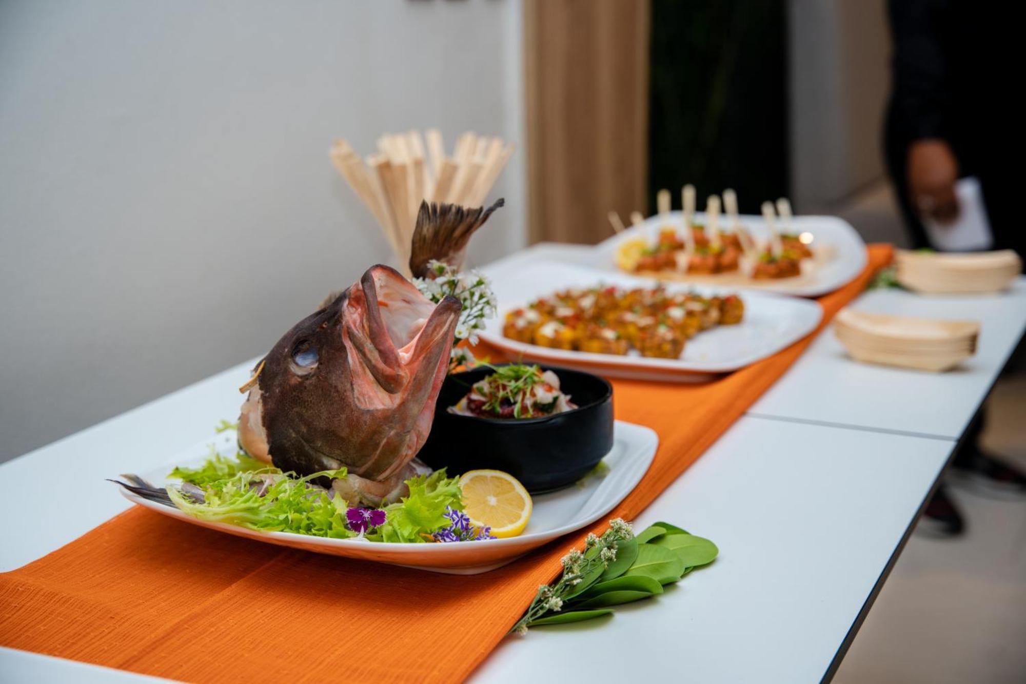 Apartamentos Roman 산토도밍고 외부 사진