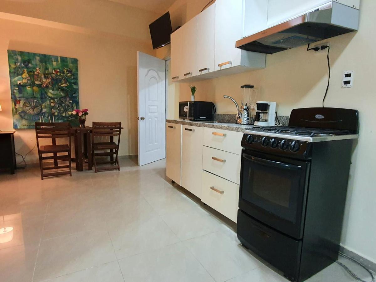 Apartamentos Roman 산토도밍고 외부 사진